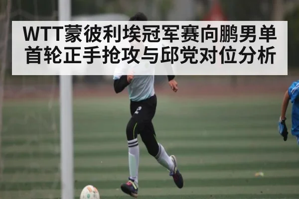 WTT蒙彼利埃冠军赛向鹏男单首轮正手抢攻与邱党对位分析