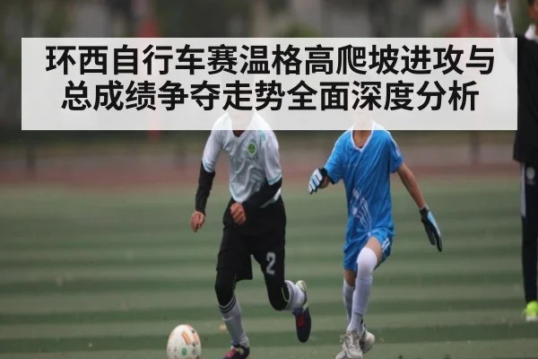 环西自行车赛温格高爬坡进攻与总成绩争夺走势全面深度分析